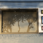 Window with tree reflections and colorful accents, related to cultural art centers and Oratso Corp's services in doors and windows.